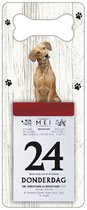 Scheurkalender 2024 Hond: labrador blond