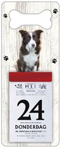 Scheurkalender 2024 Hond: Bordercollie
