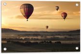 WallClassics - Tuinposter – Luchtballonen Zwevend boven Open Veld - 60x40 cm Foto op Tuinposter  (wanddecoratie voor buiten en binnen)