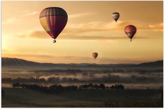 Poster Glanzend – Luchtballonen Zwevend boven Open Veld - 90x60 cm Foto op Posterpapier met Glanzende Afwerking