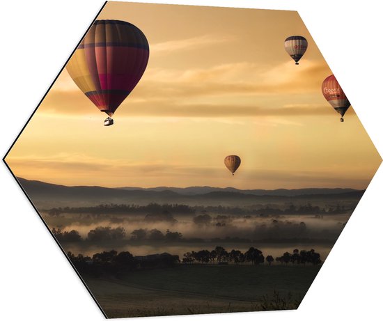 WallClassics - Dibond Hexagon - Luchtballonen Zwevend boven Open Veld - 70x60.9 cm Foto op Hexagon (Met Ophangsysteem)