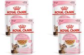 Royal Canin Kitten Sterilised Jelly - Kitten-Kattenvoer - 4 x 12x85 g