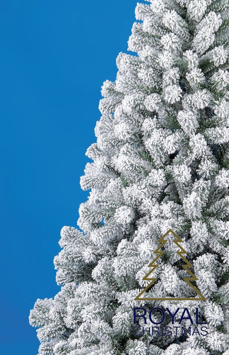 BELLISSA Schanskorf aanbouwset Limes, hoogte 210 cm kopen