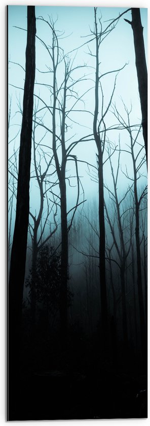 WallClassics - Dibond - Dark Forest - Photo 30x90 cm sur Aluminium (Avec Système d'accrochage)