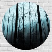 WallClassics - Muursticker Cercle - Forêt Sombre - 100x100 cm Photo sur Muursticker