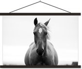 tete de cheval en noir et blanc affiche scolaire lattes plates noir 90x60 cm - Tirage photo sur poster textielposter (décoration murale salon / chambre)