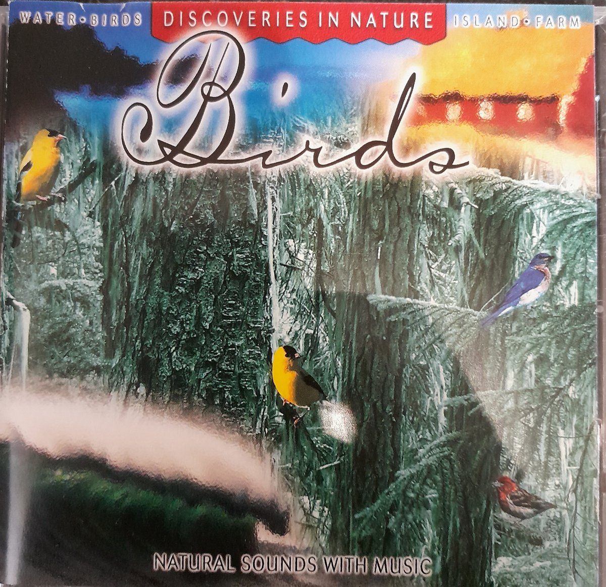 Birds-Oreade Music Series