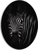 WallClassics - PVC Schuimplaat Ovaal - Zebra in het Donker Zwart-Wit - 21x28 cm Foto op Ovaal  (Met Ophangsysteem)