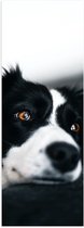 WallClassics - Poster Glanzend – Zwart/Witte Hond op de Bank - 40x120 cm Foto op Posterpapier met Glanzende Afwerking