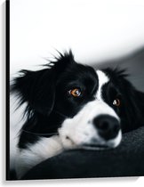 WallClassics - Canvas  - Zwart/Witte Hond op de Bank - 75x100 cm Foto op Canvas Schilderij (Wanddecoratie op Canvas)
