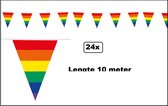 24x Vlaggenlijn Regenboog 10 meter - Kleur pride fun zomers thema feest vrolijk verjaardag festival