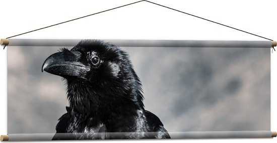 WallClassics - Textielposter - Zwarte Raaf van Dichtbij - 120x40 cm Foto op Textiel