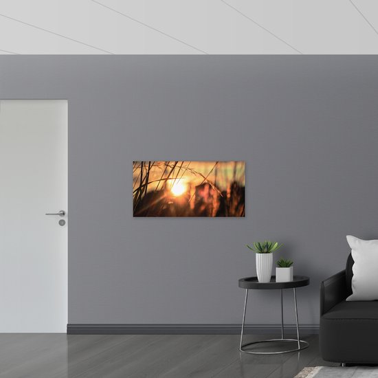 Vlag - Zonnestralen door Riet - 100x50 cm Foto op Polyester Vlag