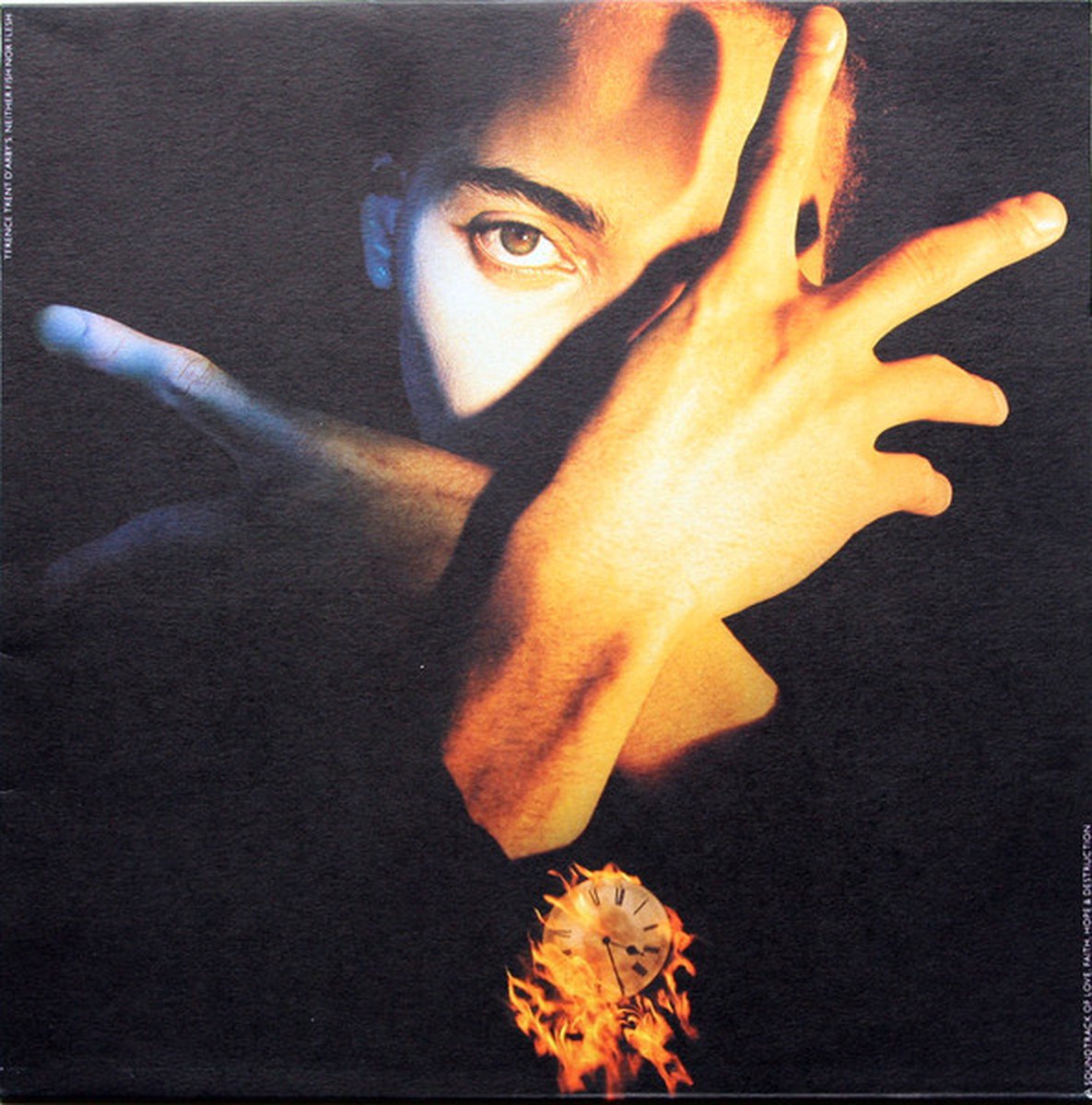 Neither Fish Nor Flesh (LP)