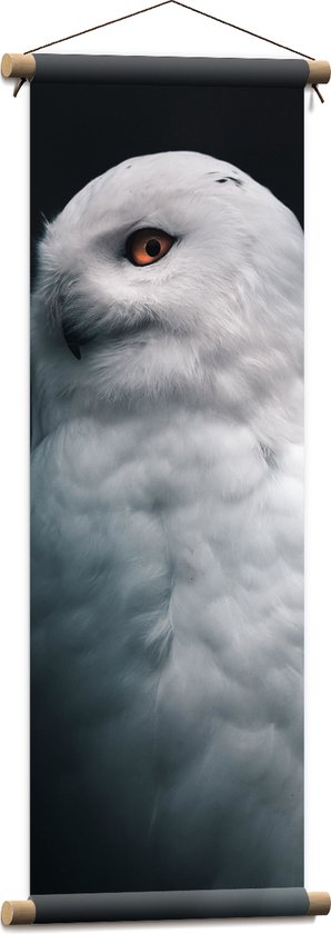 WallClassics - Textielposter - Witte Uil met Zwarte Achtergrond - 30x90 cm Foto op Textiel