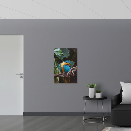 WallClassics - Verre acrylique - Perroquet fou sur une branche - Photo 60 x 90 cm sur verre acrylique (avec système de suspension)