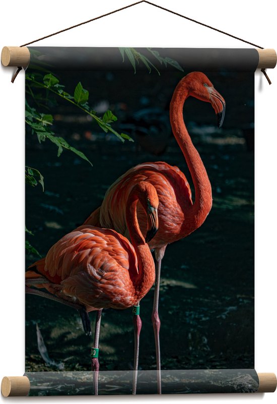 WallClassics - Textielposter - Twee Flamingos in de Schaduw - 30x40 cm Foto op Textiel