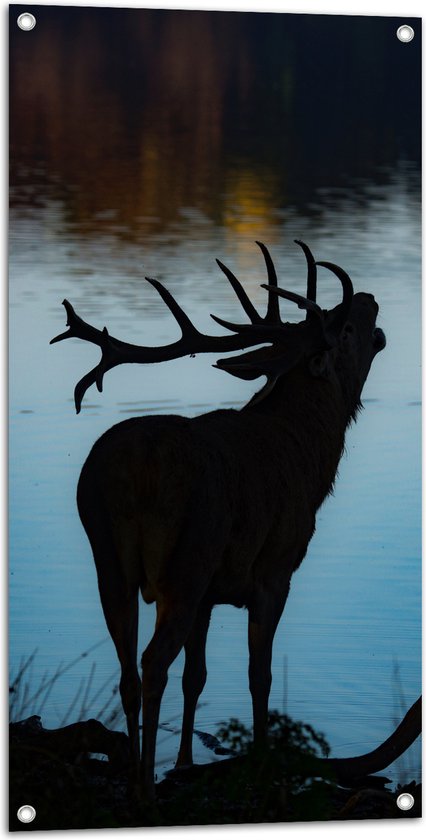 WallClassics - Poster de jardin - Silhouette d'un élan au bord d'un lac - 50x100 cm Photo sur Poster de jardin (décoration murale pour l'extérieur et l'intérieur)