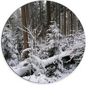 WallClassics - Dibond Muurcirkel - Besneeuwd Bos - 70x70 cm Foto op Aluminium Muurcirkel (met ophangsysteem)