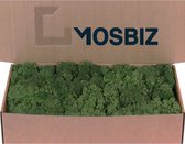 MosBiz Rendiermos Mosgroen per 500 gram voor decoraties, mosschilderijen en bloemstukjes