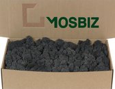 MosBiz Rendiermos Black per 500 gram voor decoraties en mosschilderijen