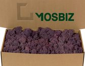 MosBiz Rendiermos Aubergine per 500 gram voor decoraties en mosschilderijen