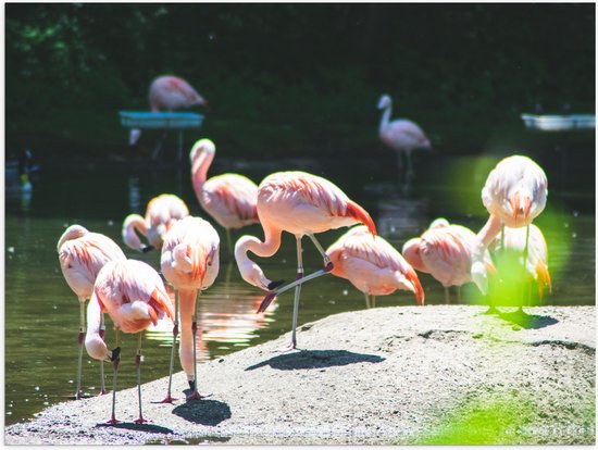 WallClassics - Poster Glanzend – Roze Flamingo's aan het Water - 40x30 cm Foto op Posterpapier met Glanzende Afwerking