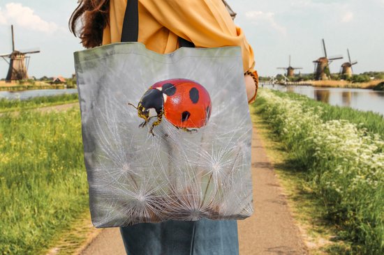 Sac bandoulière - Sac de plage - Shopper Coccinelle sur pissenlit - 45x45 cm - Sac coton