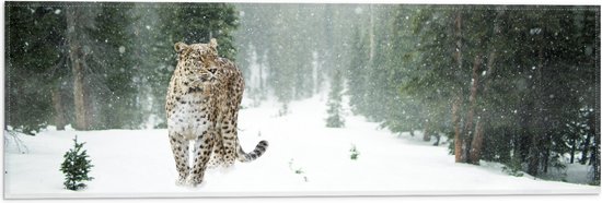 WallClassics - Vlag - Luipaard in de Sneeuw - 60x20 cm Foto op Polyester Vlag