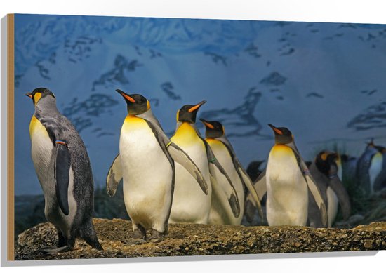 WallClassics - Hout - Keizer Pinguïns op een Rijtje - 105x70 cm - 12 mm dik - Foto op Hout (Met Ophangsysteem)