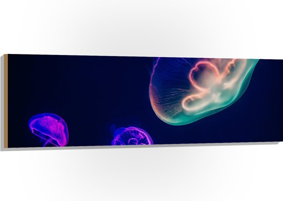 WallClassics - Hout - Gekleurde Kwal onder Water - 150x50 cm - 12 mm dik - Foto op Hout (Met Ophangsysteem)