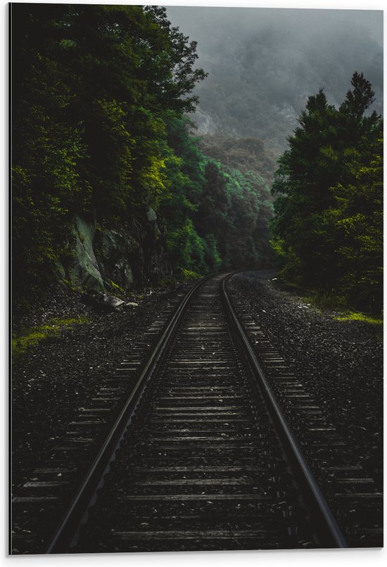 WallClassics - Dibond - Treinspoor tussen Groene Bossen - 40x60 cm Foto op Aluminium (Wanddecoratie van metaal)