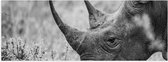 WallClassics - Poster Glossy – Rhinocéros Zwart / Wit - 60x20 cm Photo sur Papier Poster avec Finition Brillante
