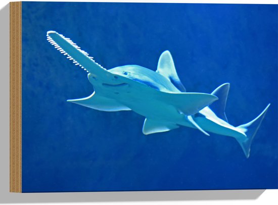 WallClassics - Hout - Zwaardvis in het Water - 40x30 cm - 12 mm dik - Foto op Hout (Met Ophangsysteem)