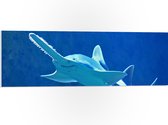 WallClassics - PVC Schuimplaat - Zwaardvis in het Water - 90x30 cm Foto op PVC Schuimplaat (Met Ophangsysteem)