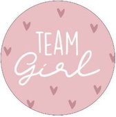 Team Girl - Sluitstickers - Gender reveal - Babyshower - Sticker - Etiket - Traktatie sticker