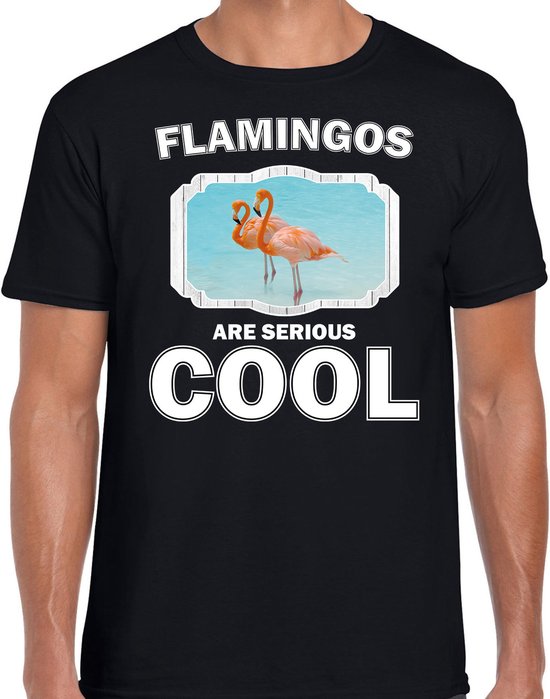 Dieren flamingo vogels t-shirt zwart heren - flamingos are serious cool shirt - cadeau t-shirt flamingo/ flamingo vogels liefhebber L