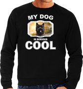 Cairn terrier honden trui / sweater my dog is serious cool zwart - heren - Cairn terriers liefhebber cadeau sweaters L