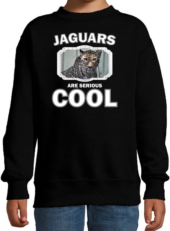 Dieren jaguars sweater zwart kinderen - jaguars are serious cool trui jongens/ meisjes - cadeau gevlekte jaguar/ jaguars liefhebber - kinderkleding / kleding 134/146
