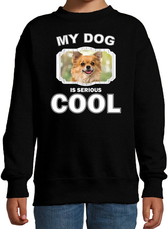 Pull / pull pour chien Chihuahua Mon chien est sérieux noir cool - Enfants - Chandails cadeau pour amoureux des chihuahuas 14-15 ans (170/176)