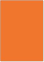 Papier Kangaro Basic A4 orange 160gr VE1 = 50 feuilles