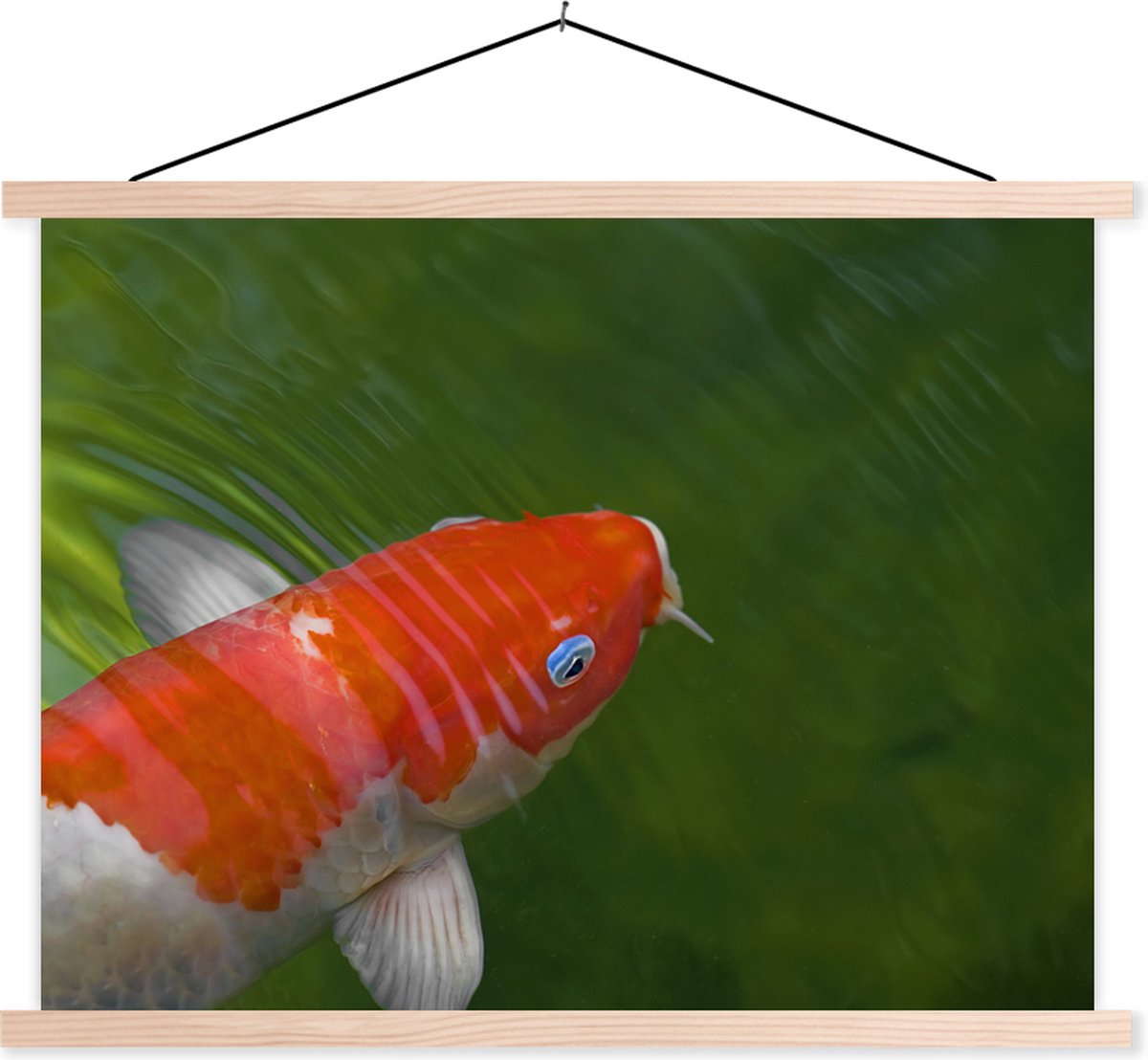 Carte De Vœux « Pêche à La Carpe Impressionnante