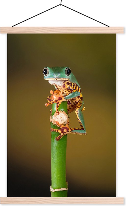 Grenouille sur plant verte bouchent affiche textielposter lamelles vierges 60x90 cm - Tirage photo sur plaque scolaire (décoration murale salon / chambre)