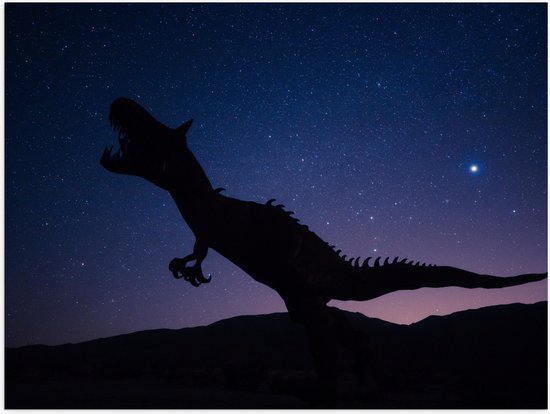 WallClassics - Poster Glanzend – Silhouette van een Dinosaurus in de Nacht - 40x30 cm Foto op Posterpapier met Glanzende Afwerking