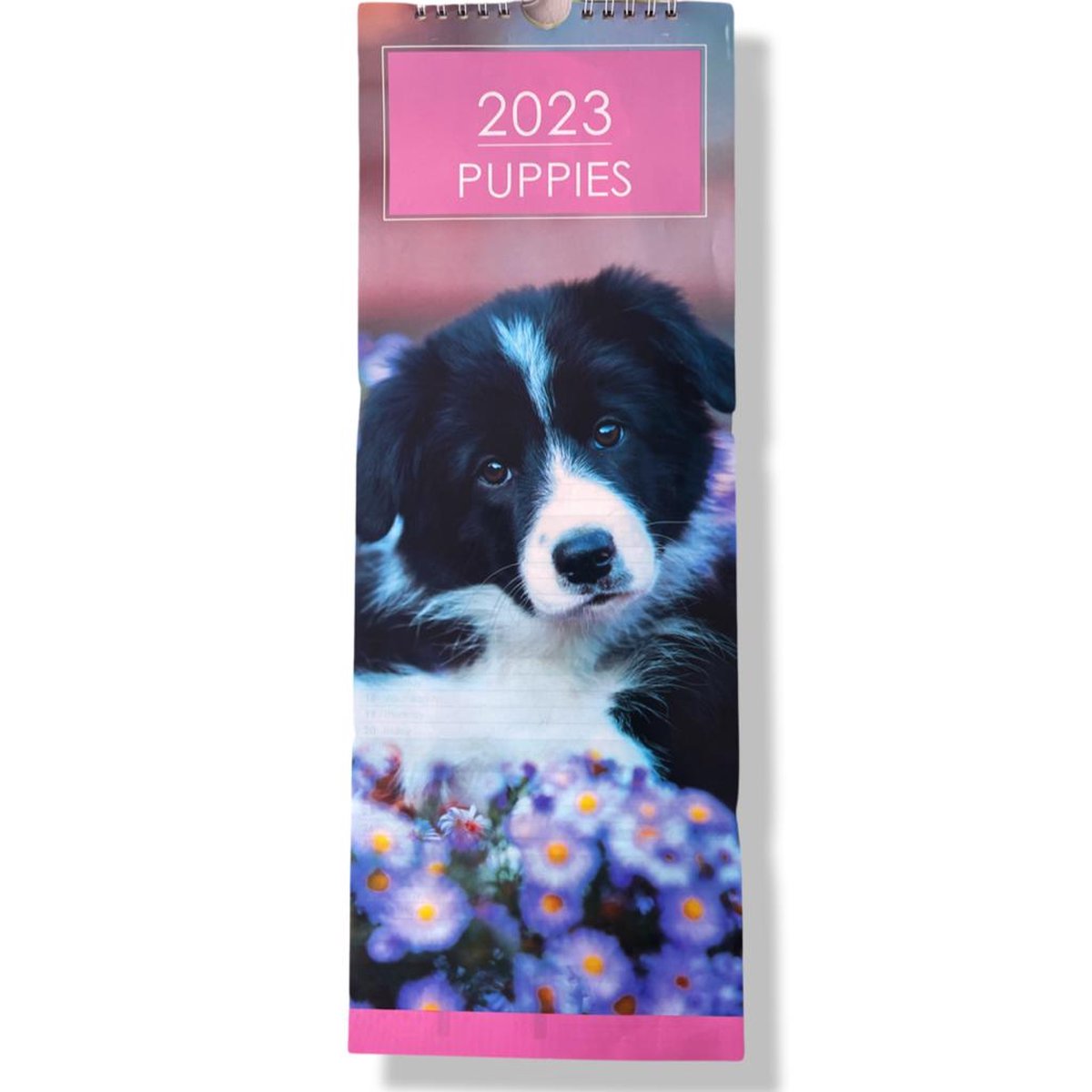 Puppy's kalender - 2023 - Maandkalender - 15.5x42cm