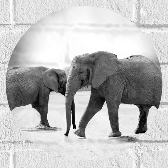 Tanlaby Jungle Dier Muurstickers Cartoon Dier Muursticker Giraffe Olifant Aap Groene Planten Muurkunst Sticker voor Kinderen Baby Kwekerij Speelkamer Slaapkamer Woonkamer Kleuterschool Muur Decor