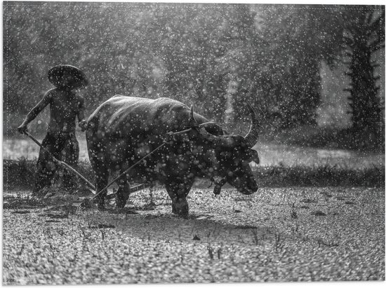WallClassics - Drapeau - Agriculteur asiatique au travail sous la pluie Zwart / Wit - Photo 40x30 cm sur drapeau en polyester