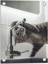 WallClassics - Tuinposter – Poes aan het Drinken uit de Kraan - 30x40 cm Foto op Tuinposter  (wanddecoratie voor buiten en binnen)