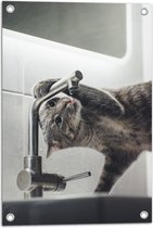 WallClassics - Tuinposter – Poes aan het Drinken uit de Kraan - 40x60 cm Foto op Tuinposter  (wanddecoratie voor buiten en binnen)