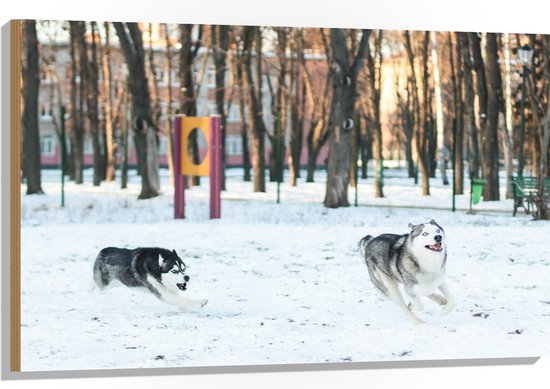 WallClassics - Hout - Siberische Husky Spelend in de Sneeuw - 105x70 cm - 12 mm dik - Foto op Hout (Met Ophangsysteem)